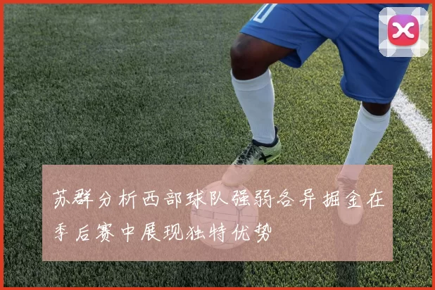 苏群分析西部球队强弱各异掘金在季后赛中展现独特优势